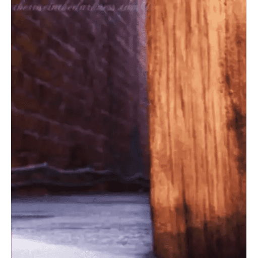 Набор стикеров Snowball Animado для WhatsApp 14