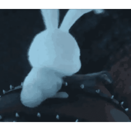 Набор стикеров Snowball Animado для WhatsApp 17