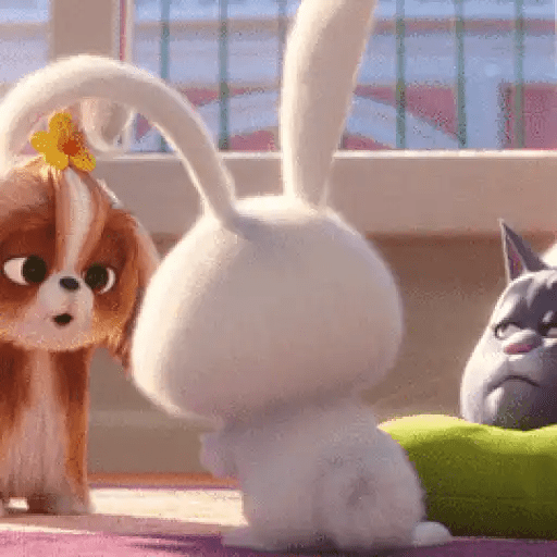 Набор стикеров Snowball Animado для WhatsApp 25