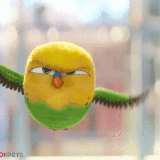 Набор стикеров Snowball Animado для WhatsApp 27