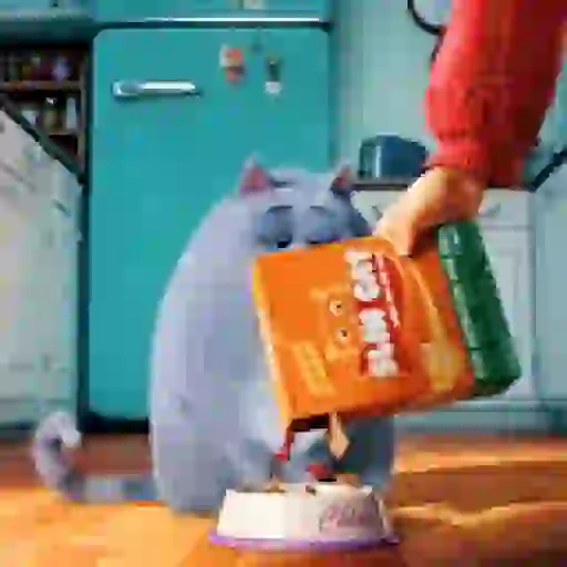 Набор стикеров Snowball Animado для WhatsApp 28