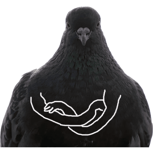 Набор стикеров The pigeon memes для WhatsApp 1