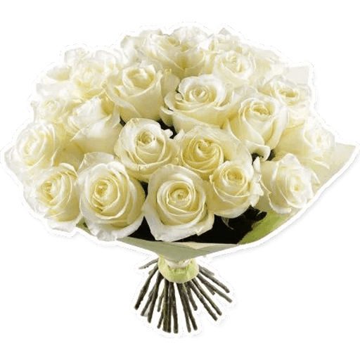 Набор стикеров White Flowers @ykinanah для WhatsApp 1