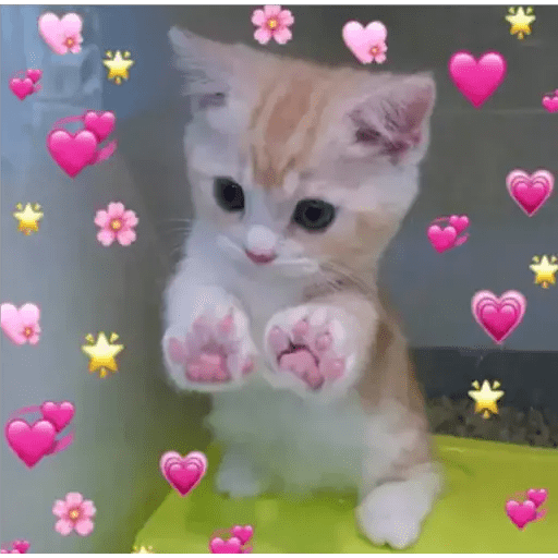 Набор стикеров wholesome memes для WhatsApp 11