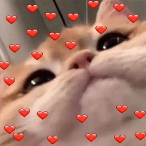 Набор стикеров wholesome memes для WhatsApp 12