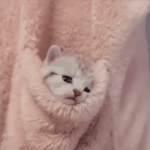 Набор стикеров wholesome memes для WhatsApp 3