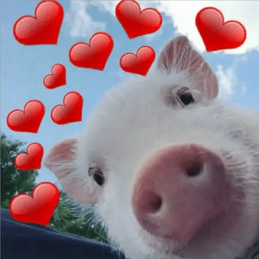 Набор стикеров wholesome memes для WhatsApp 5