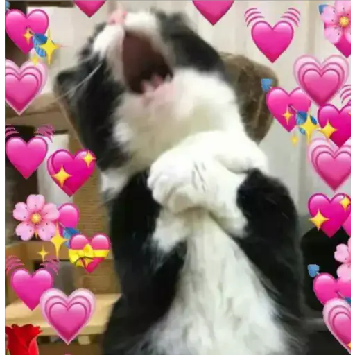 Набор стикеров wholesome memes для WhatsApp 6