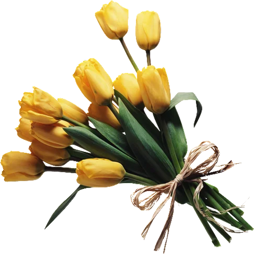 Набор стикеров Yellow Flowers @ykinanah для WhatsApp 1