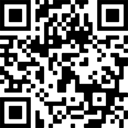 Image generated from a QR block