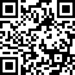 Image generated from a QR block