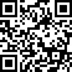 Image generated from a QR block