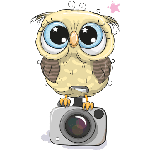 Набор стикеров Cute Owls для WhatsApp 11