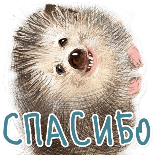 Набор стикеров eduhund для WhatsApp 15