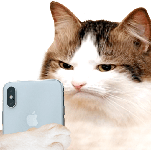 Набор стикеров En el Celular для WhatsApp 12