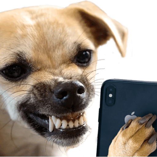 Набор стикеров En el Celular для WhatsApp 22