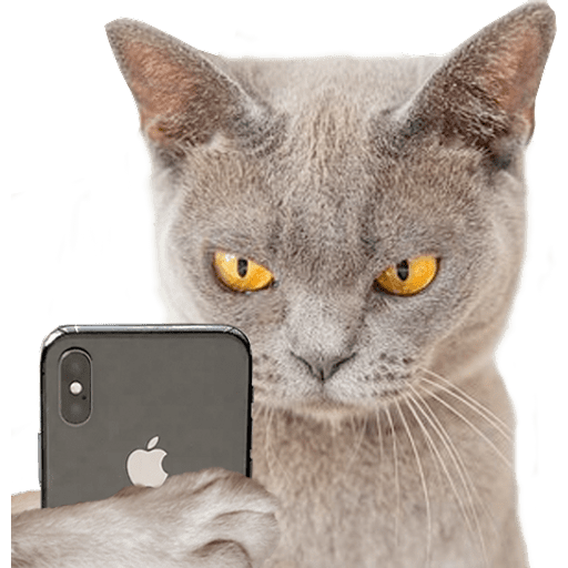 Набор стикеров En el Celular для WhatsApp 25