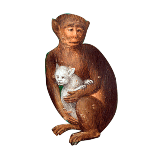 Набор стикеров Gatitos (Michis) Medievales для WhatsApp 1