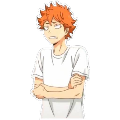 Набор стикеров Haikyu Hinata & Kags для WhatsApp 23