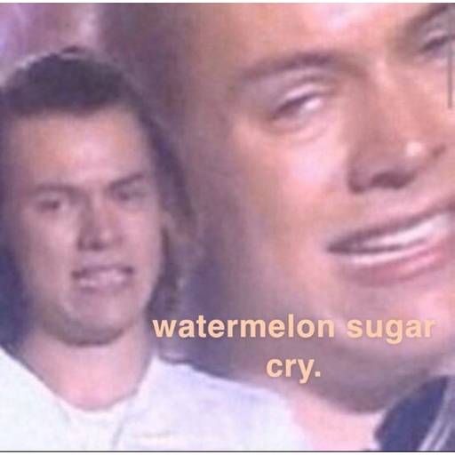 Набор стикеров harry styles для WhatsApp 20