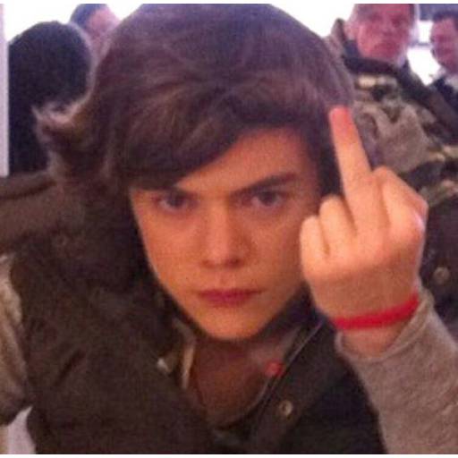 Набор стикеров harry styles для WhatsApp 30