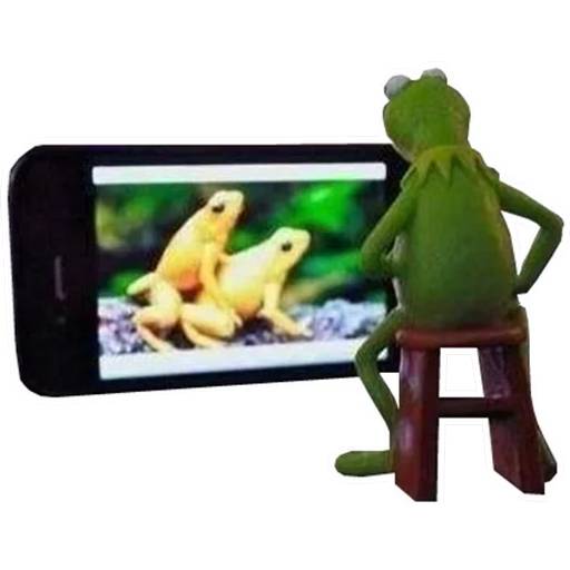 Набор стикеров Kermitchina для WhatsApp 19