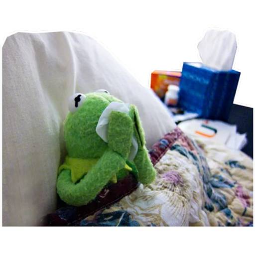 Набор стикеров Kermitchina для WhatsApp 25