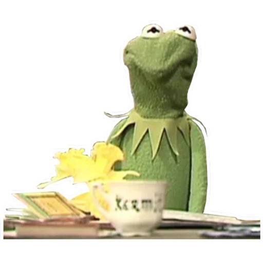 Набор стикеров Kermitchina для WhatsApp 28