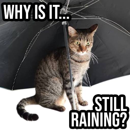 Набор стикеров Ling Dang для WhatsApp 28