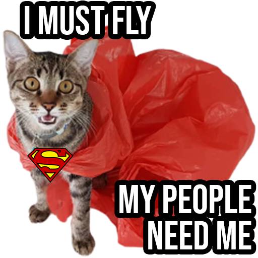 Набор стикеров Ling Dang для WhatsApp 29