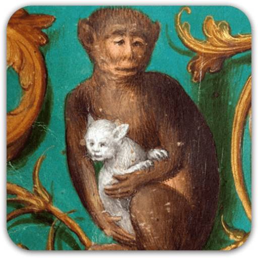 Набор стикеров Medieval cats для WhatsApp 10