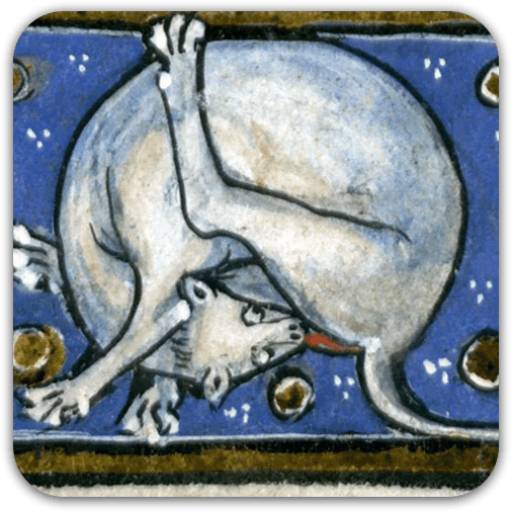 Набор стикеров Medieval cats для WhatsApp 12