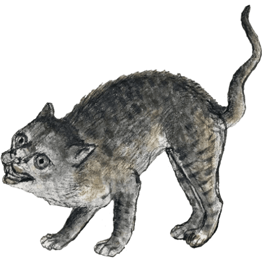 Набор стикеров Medieval memes для WhatsApp 24