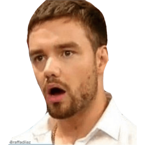 Набор стикеров One Direction Reactions для WhatsApp 19