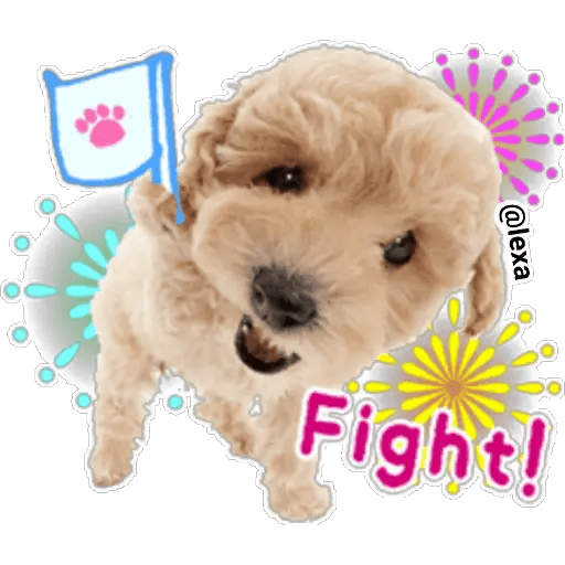 Набор стикеров THE DOG 🐶 для WhatsApp 10