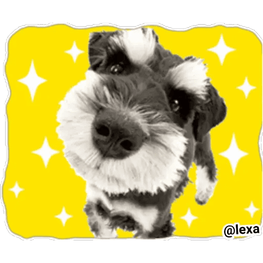 Набор стикеров THE DOG 🐶 для WhatsApp 11