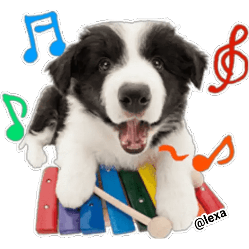 Набор стикеров THE DOG 🐶 для WhatsApp 12