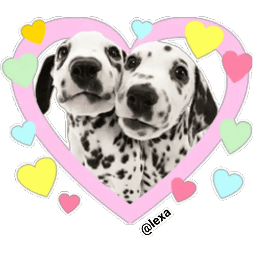 Набор стикеров THE DOG 🐶 для WhatsApp 13