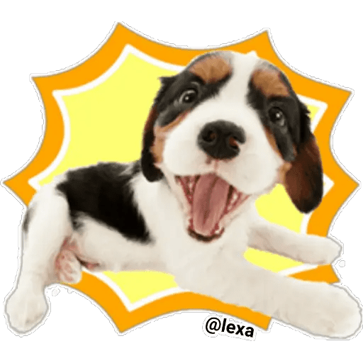 Набор стикеров THE DOG 🐶 для WhatsApp 19