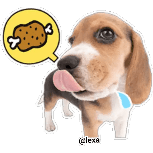 Набор стикеров THE DOG 🐶 для WhatsApp 2