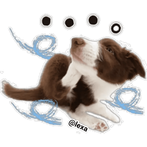 Набор стикеров THE DOG 🐶 для WhatsApp 20