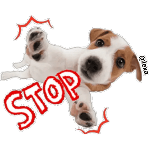 Набор стикеров THE DOG 🐶 для WhatsApp 22