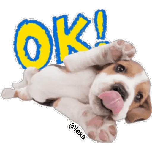 Набор стикеров THE DOG 🐶 для WhatsApp 29