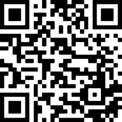 Image generated from a QR block
