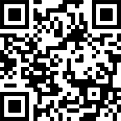 Image generated from a QR block