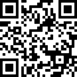 Image generated from a QR block