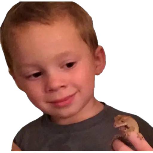 Набор стикеров Gavin Thomas #3 для WhatsApp 18