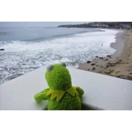 Набор стикеров Kermit the frog part 1 (Feat. Gerry) для WhatsApp 10