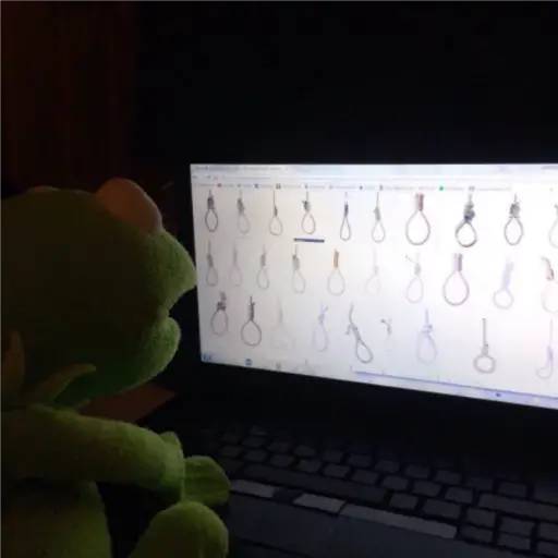 Набор стикеров Kermit the frog part 1 (Feat. Gerry) для WhatsApp 14