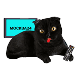 Набор стикеров Кот Бублик от «Москва 24» для Viber - фото 1